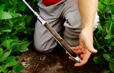 Image result for How to Take Soil Sample for Testing