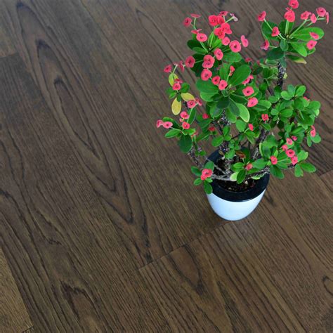 Brixton - House Of Floors