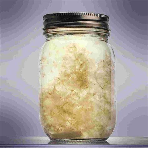 How To Make A Mushroom Liquid Culture - Mycotown