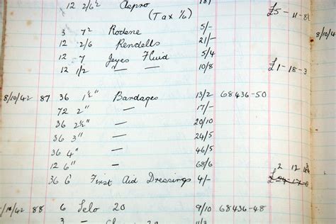 Image result for Ledger Book Examples