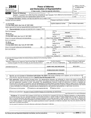 Form 2848 Example - Fill Online, Printable, Fillable, Blank | pdfFiller
