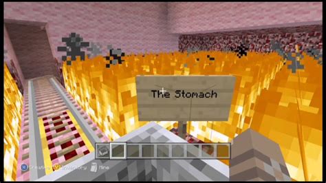 Image result for Minecraft Digestive System