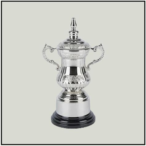 Pure Silver Trophy with Black Base – Elegant Award for Recognition