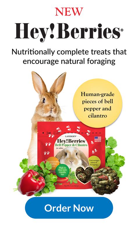 Can Rabbits Have Cilantro