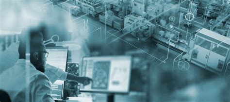 Automated Image Processing Software 的图像结果