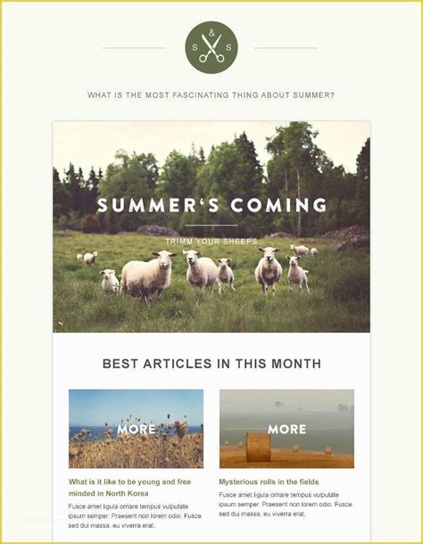 Image result for Simple Newsletter Templates