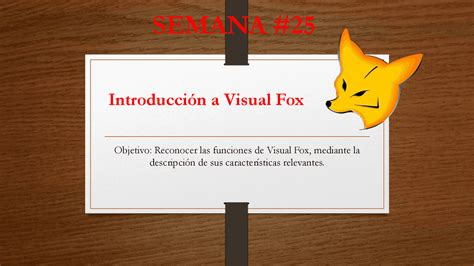 Image result for Visual Fox Videotutorial