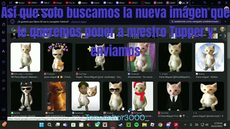 Tupperbox Tutorial 的图像结果