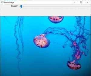 Image result for OpenCV GUI