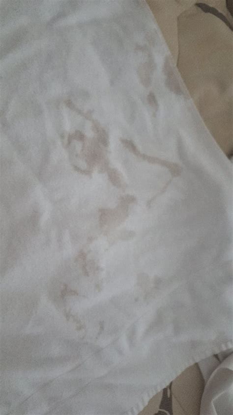 IFLAT BROOKFIELD TOWERS (Goiania, Brazil - GO) - Guesthouse Reviews ...