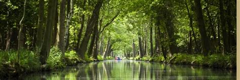 Binovision™ – Paulig Eye & Health