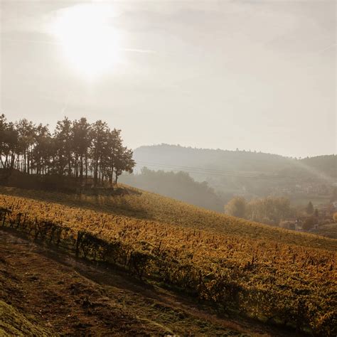 Field Notes: A Week in Piedmont in Photos | Modern Adventure