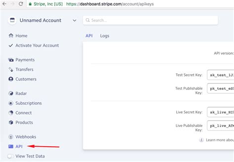 How to Provide API Key in Minecraft Java 的图像结果