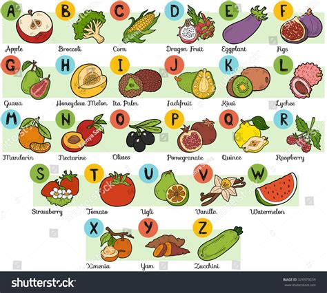 Color Alphabet Children Fruits Vegetables Az Stock Vector (Royalty Free ...