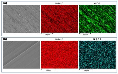 Tribocorrosion Behavior of γ′-Fe4N Nitride Layer Formed on Mild Steel ...