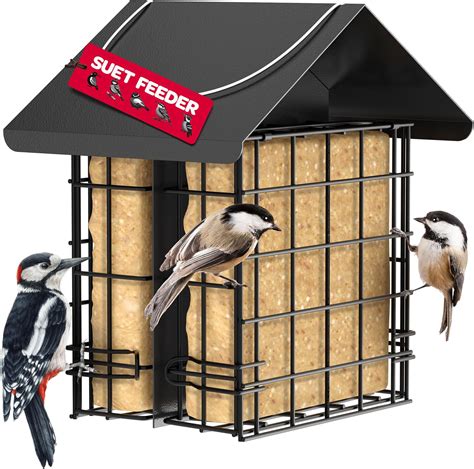 Amazon.com : Wild Wings Decorative Metal Suet Cage Feeder for Outdoor ...