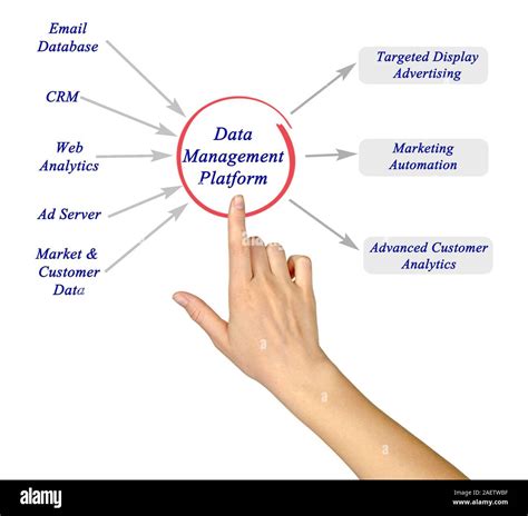 Data Management Platform 的图像结果