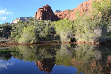 Image result for Spring Pond Reflection