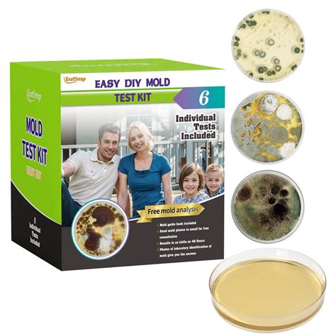 Mold Test Kit for Home Within 6 Individual Tests,DIY Detector at Home ...