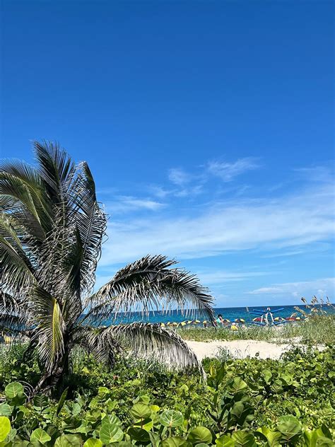 THE SINGER OCEANFRONT RESORT, CURIO COLLECTION BY HILTON (Singer Island ...