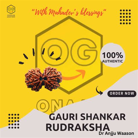Gauri Shankar Rudraksha – Onaar Gracious