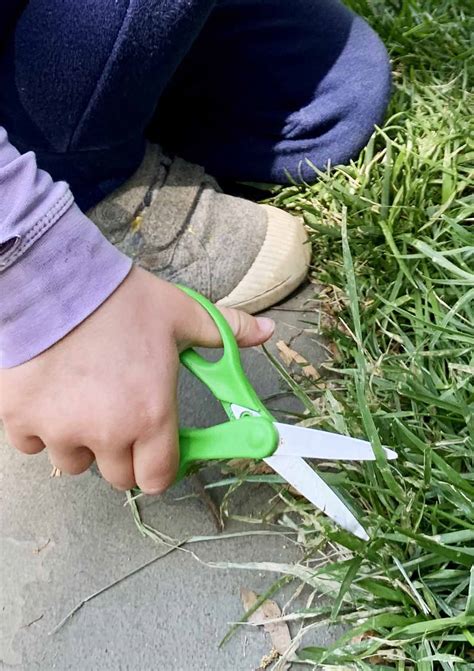 Image result for Students Using Sciscor