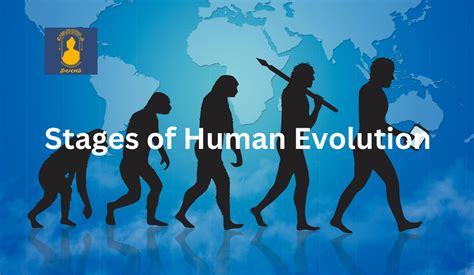 First Human Evolution 的图像结果