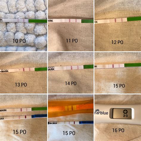 Pregnancy test line progression 8dpo 4 week pregnancy symptoms – Artofit