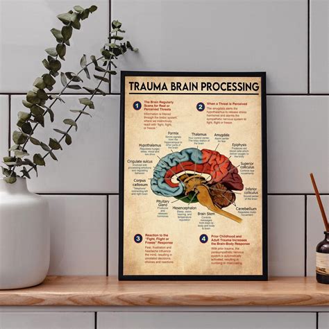 Image result for Trauma Brain Processing