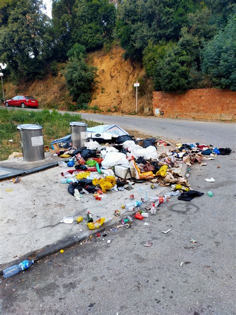 Tordera posa 278 sancions relacionades amb el civisme durant el 2020 ...