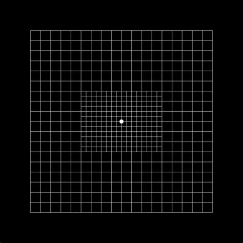 Image result for Camera Grid