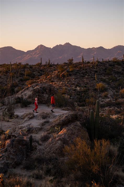 Saguaro National Park Guide (2 Day Itinerary) | Javelina Rocks at ...