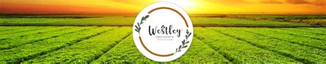 Amazon.in: Westley Organics: Tea