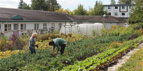 Local Farming 的图像结果