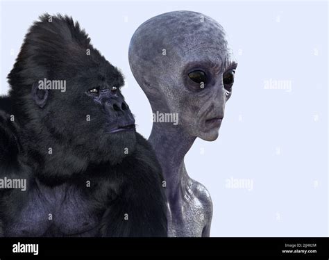 Image result for Alien Monkey Baby