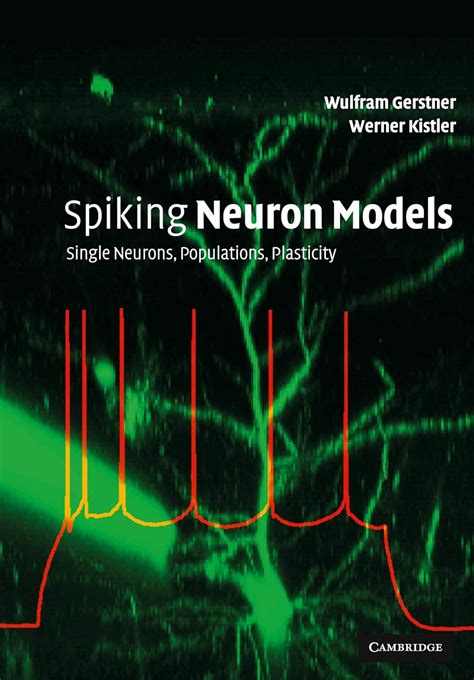 Buy Spiking Neuron Models: Single Neurons, Populations, Plasticity Book ...