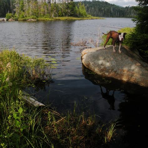 West Canada Lake Wilderness – Adirondack Wilderness Advocates
