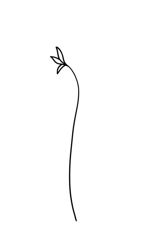 Draw Easy Flowers With This Step by Step Guide.