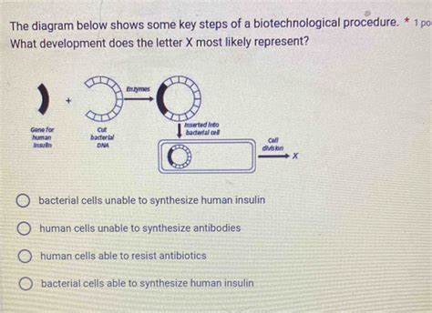 Biotechnology Process Steps Diagram 的图像结果