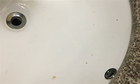 MILL TREE INN (Millington) - Hotel Reviews, Photos, Rate Comparison ...