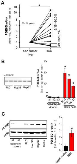 The Delta Subunit of Rod-Specific Photoreceptor cGMP Phosphodiesterase ...