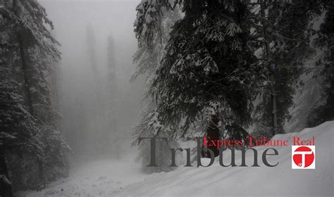 THE MALL (Murree) - Lodge Reviews & Photos - Tripadvisor