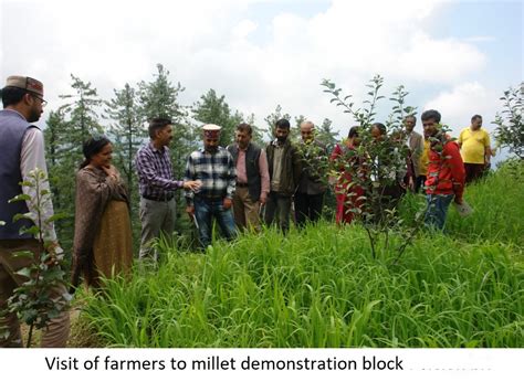 Dr YS Parmar University of Horticulture & Forestry