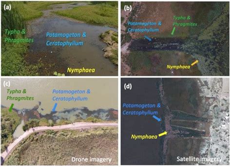 Deep Learning Segmentation of Satellite Imagery Identifies Aquatic ...