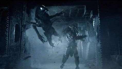 Image result for Alien vs Predator Face Off