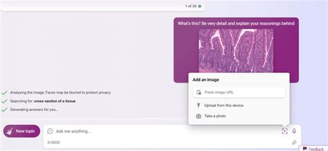 Bing Chat Visual Input 的图像结果