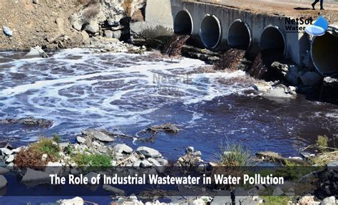 Pollution 的图像结果