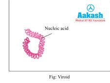 Classification of lichens, Characteristics of Viroids & Prions | AESL
