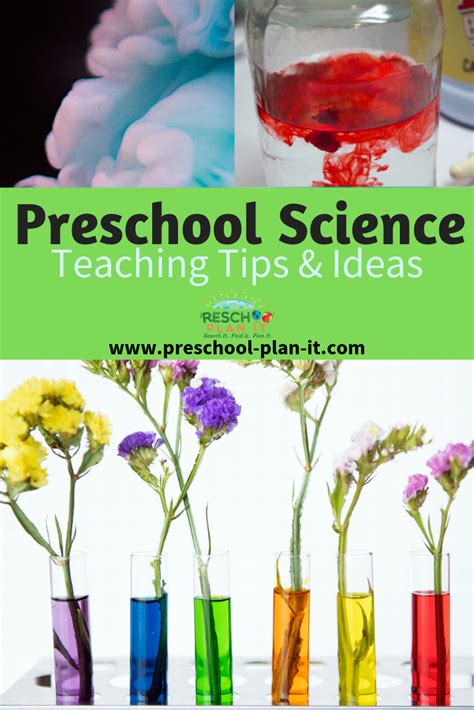 Science for Preschool 的图像结果