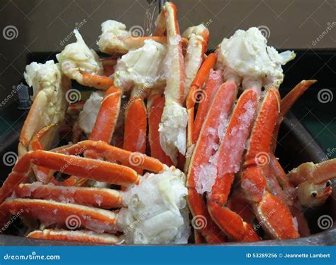 Snow Crab Clusters Defrosting Stock Photo - Image of defrost, boiled ...